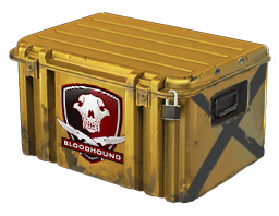 ★ Falchion Case (Base Grade Container)