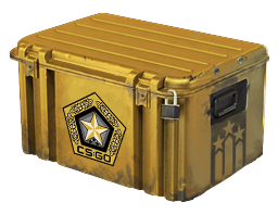 ★ Gamma Case (Base Grade Container)