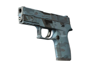 P250 | Forest Night (Well-Worn)