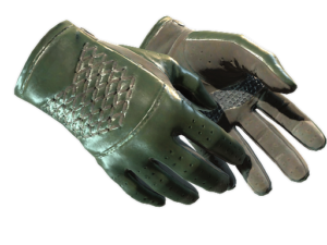 ★ Driver Gloves | Racing Green (Field-Tested)